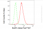 KD-Validated Anti-BubR1 Rabbit Monoclonal Antibody